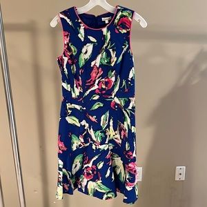 Shoshanna Ladies Spring Dress.